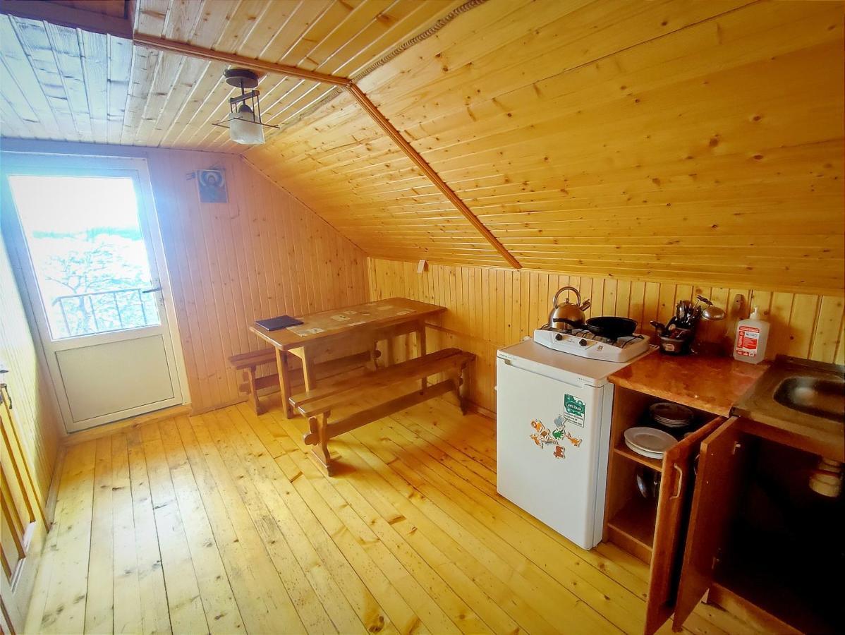 Cottage Panorama Karpat 볼로샨카 외부 사진